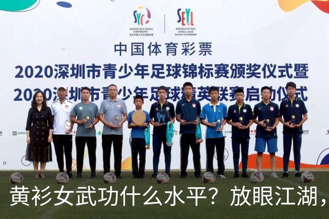 黄衫女武功什么水平?放眼江湖,能胜过她的仅有3人